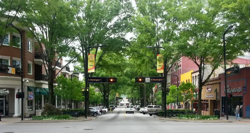 Tree-lined street in South Carolina. (Dover, Kohl & Partners Town Planning)