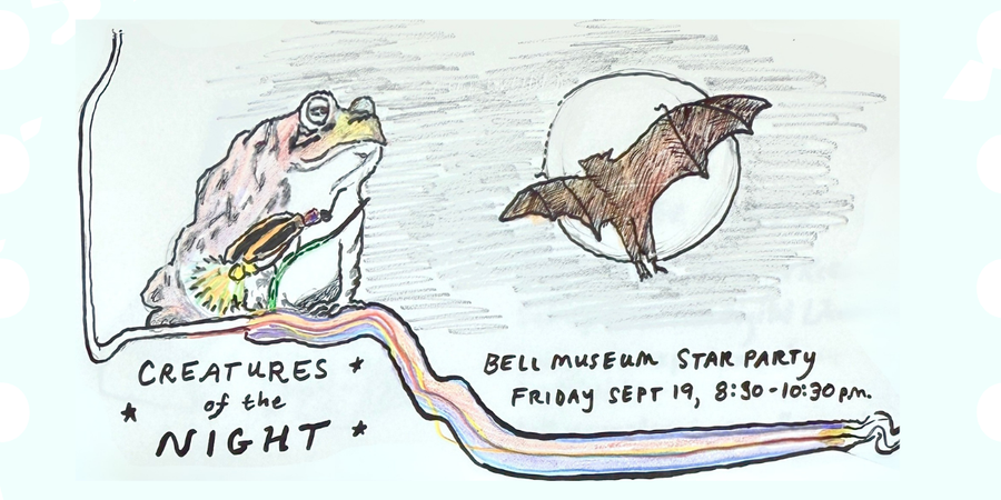 Toad and firefly sit on I-94 in St. Paul, with a bat flying over the Moon.